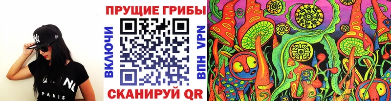 OMG онион  купить наркотик  Лесозаводск  Галлюциногенные грибы GOLDEN TEACHER 