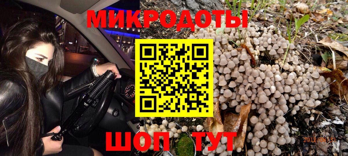 Галлюциногенные грибы GOLDEN TEACHER Лесозаводск